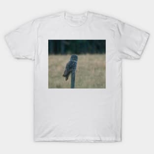 Great Grey Owl on a Post T-Shirt